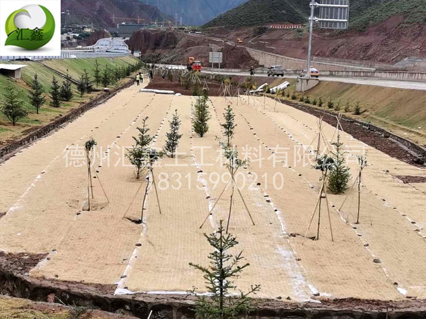 一體化草毯景區園林綠化